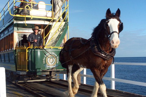 Full-Day Tour In South Australia Highlights - Tourism Caloundra 1