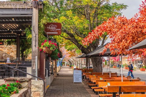 Full-Day Tour In South Australia Highlights - Tourism Caloundra 2