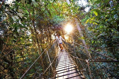 O'Reilly's & Lamington National Park From Brisbane - Tourism Caloundra 5