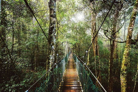 O'Reilly's & Lamington National Park From Gold Coast - Tourism Caloundra 0