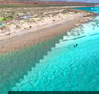 Ningaloo in a Day - Full Day Hike and Snorkel Tour with Lunch - Tourism Caloundra