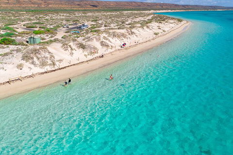 Ningaloo In A Day - Full Day Hike And Snorkel Tour With Lunch - Tourism Caloundra 0