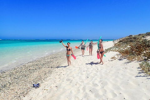 Ningaloo In A Day - Full Day Hike And Snorkel Tour With Lunch - Tourism Caloundra 1