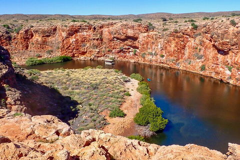 Ningaloo In A Day - Full Day Hike And Snorkel Tour With Lunch - Tourism Caloundra 2
