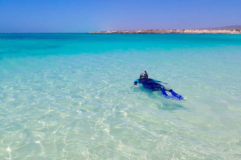 Ningaloo In A Day - Full Day Hike And Snorkel Tour With Lunch - Tourism Caloundra 4