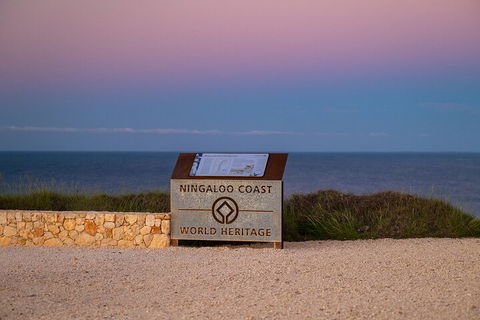 Ningaloo In A Day - Full Day Hike And Snorkel Tour With Lunch - Tourism Caloundra 5