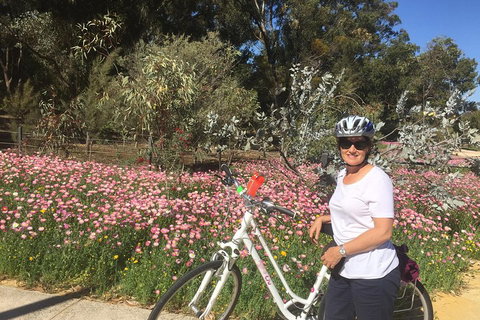 Perth Bike Tour - Beautiful Matilda Bay And Kings Park - Tourism Caloundra 1