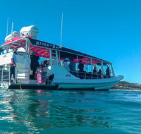 Best of Moreton Bay Cruise - Tourism Caloundra