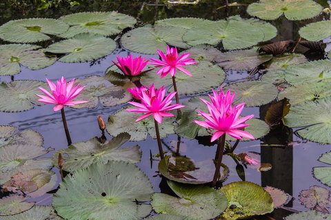 Kakadu, Nourlangie And Yellow Waters Tour From Darwin - Tourism Caloundra 1