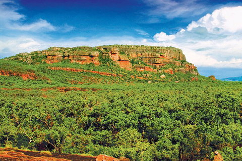 Kakadu, Nourlangie And Yellow Waters Tour From Darwin - Tourism Caloundra 3