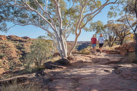 3-Day Tour From Uluru (Ayers Rock) To Alice Springs Via Kings Canyon - Tourism Caloundra 1