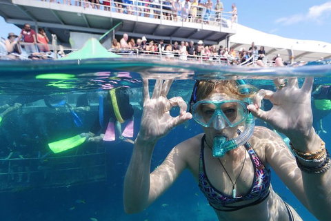 Great Barrier Reef Day Cruise From Cairns Including Snorkeling And Marine Biologist Presentation - Tourism Caloundra 0