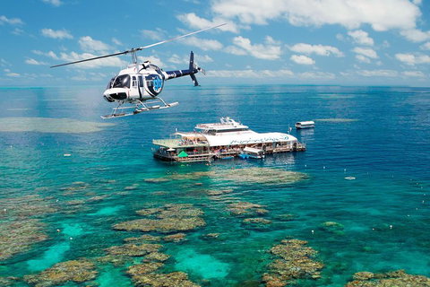 Great Barrier Reef Day Cruise From Cairns Including Snorkeling And Marine Biologist Presentation - Tourism Caloundra 5