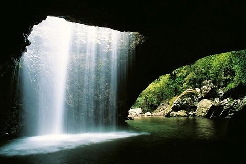 Natural Bridge & Springbrook Waterfalls Tour - Tourism Caloundra 0