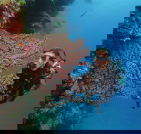 Silversonic Outer Great Barrier Reef Dive and Snorkel Cruise from Port Douglas - Tourism Caloundra