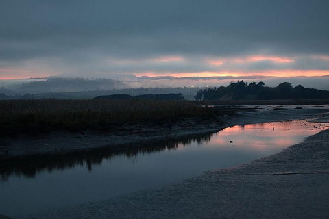 Launceston Private Charter Service - Tourism Caloundra 1