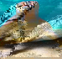 Sail Snorkel SUP  Kayak Charter Whitsundays - Tourism Caloundra