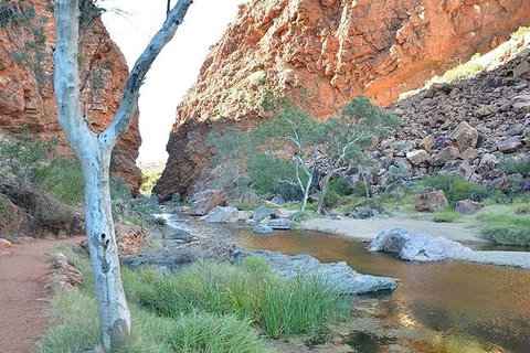 Alice Springs, Uluru Ayers Rock & Kings Canyon 8 Days Touring Package - Tourism Caloundra 2