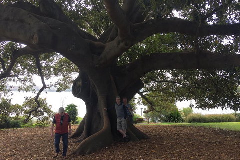 Private Tour: Half-Day Iconic Sydney - Tourism Caloundra 1