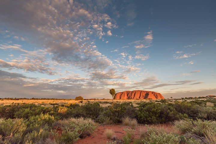 Alice Springs NT Tourism Caloundra