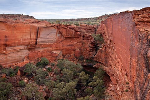 Uluru, Kata Tjuta And Kings Canyon Camping Safari From Ayers Rock - Tourism Caloundra 1