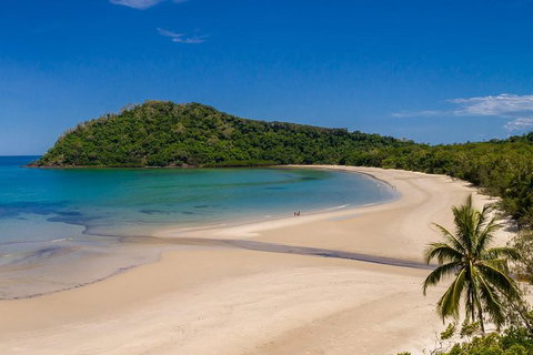 Daintree And Cape Tribulation Tour From Cairns - Tourism Caloundra 1