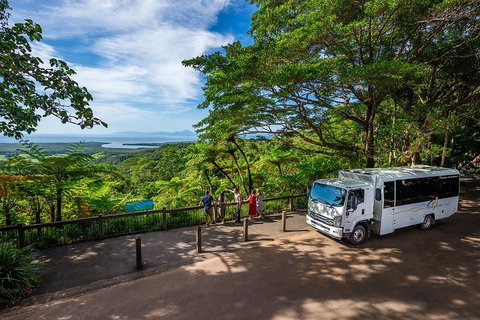 Daintree And Cape Tribulation Tour From Cairns - Tourism Caloundra 3