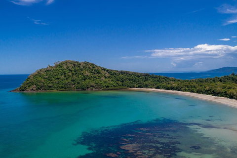 Daintree And Cape Tribulation Tour From Cairns - Tourism Caloundra 4