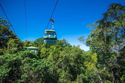Skyrail Rainforest Cableway Day Trip From Cairns - Tourism Caloundra 1