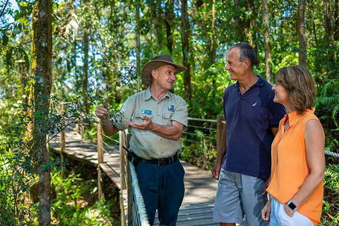 Kuranda Scenic Railway Day Trip From Cairns - Tourism Caloundra 1