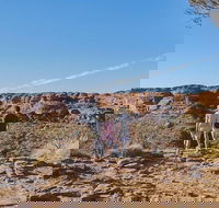 The Amazing Kings Canyon 4-Hours Walking Tour and Hike - Tourism Caloundra