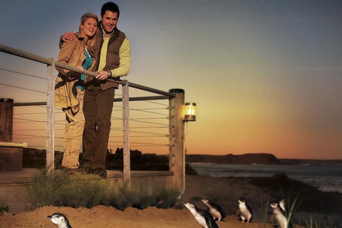 The Ultimate Melbourne Attractions Pass - Tourism Caloundra 3