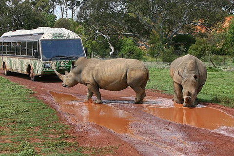 The Ultimate Melbourne Attractions Pass - Tourism Caloundra 4