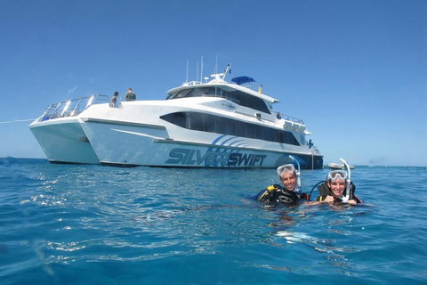 Silverswift Outer Great Barrier Reef Dive And Snorkel Cruise From Cairns - Tourism Caloundra 4