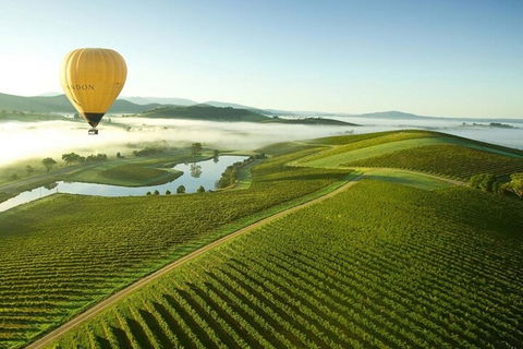 Half-Day Or Full-Day Tour With Private Guide From Melbourne - Tourism Caloundra 4