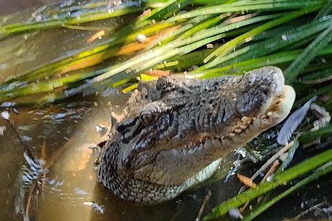 Litchfield Park Adventures And Jumping Crocodile Cruise + Butterfly Farm - Tourism Caloundra 4