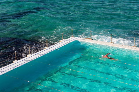 Small Group Essential Sydney Tour Including Lunch - Tourism Caloundra 5
