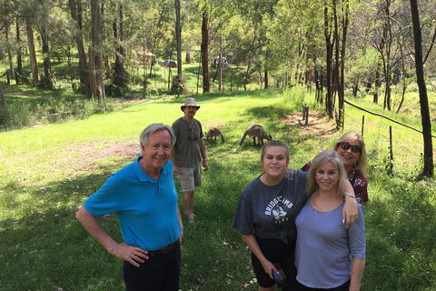 Small Group Blue Mountains Day Tour From Sydney - Tourism Caloundra 1