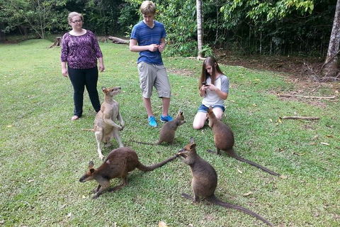 Small Group Blue Mountains Day Tour From Sydney - Tourism Caloundra 2