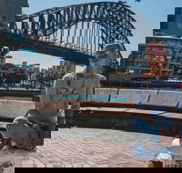 The Rocks  Darling Harbour With A Local Private  Personalized - Tourism Caloundra