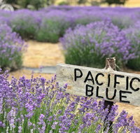 Kangaroo Island Food and Wine Trail Tour - Tourism Caloundra