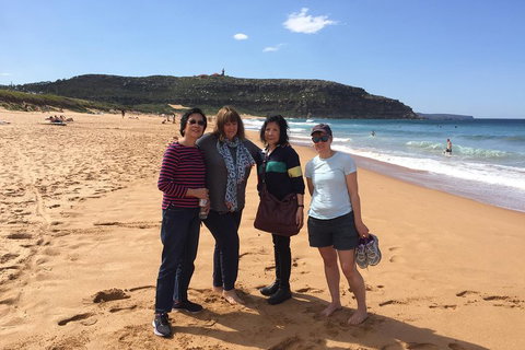 Small-Group Sydney's Northern Beaches And Ku-ring-gai National Park Bus Tour - Tourism Caloundra 2
