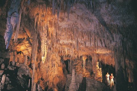 4 Day Tour: Albany, Margaret River, Valley Of The Giants TreeTop Walk From Perth - Tourism Caloundra 1