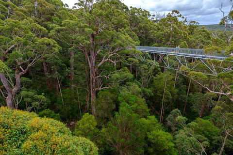 4 Day Tour: Albany, Margaret River, Valley Of The Giants TreeTop Walk From Perth - Tourism Caloundra 4
