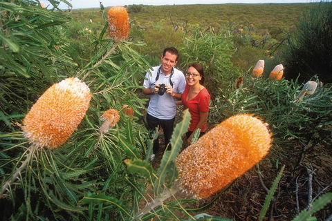 Best Of Perth Wildflower Season Day Trip - Tourism Caloundra 0