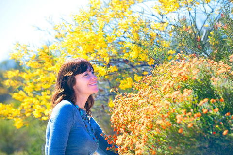 Best Of Perth Wildflower Season Day Trip - Tourism Caloundra 2