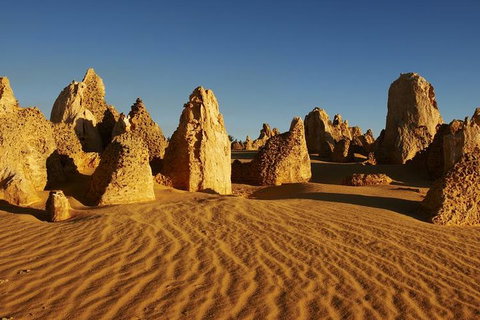 Full Day Pinnacle Desert Explorer From Perth Including Hillarys And Lancelin Sandboarding - Tourism Caloundra 3