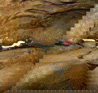 2-Day Wave Rock York Wildflowers  Aboriginal Experience - Tourism Caloundra