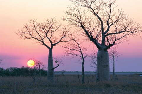 8-Day Outback Experience From Queensland - Tourism Caloundra 5
