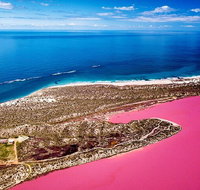 Pink Lake Small-Group Buggy Tour - Tourism Caloundra